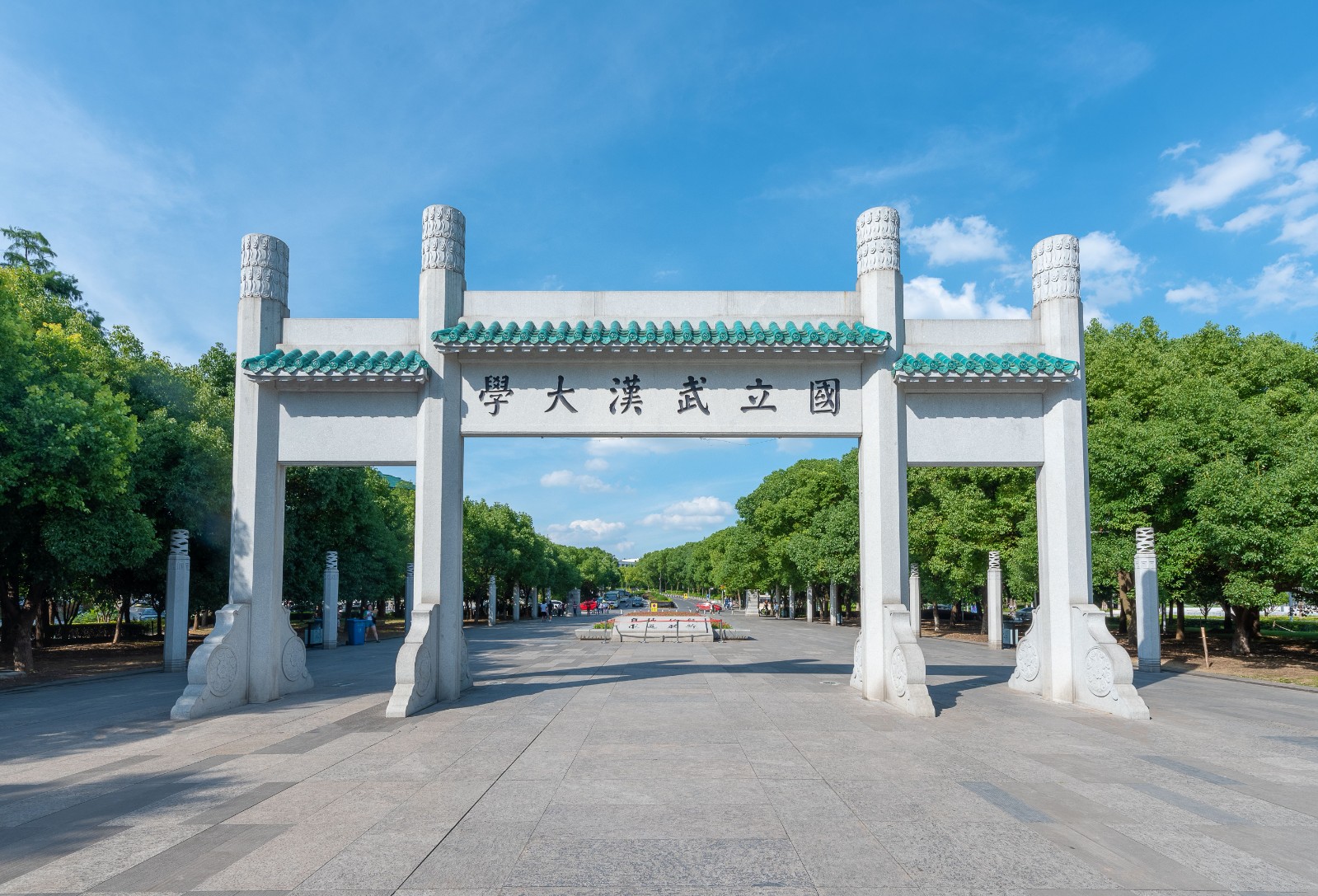 武汉大学压缩.jpg